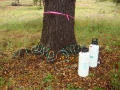 johnkingranch0508-002