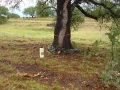 johnkingranch0508-009