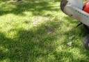 totaldump071710-290