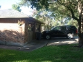 austin tree trimming services