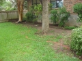 tree-trimming-16