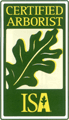 Tree Services Austin